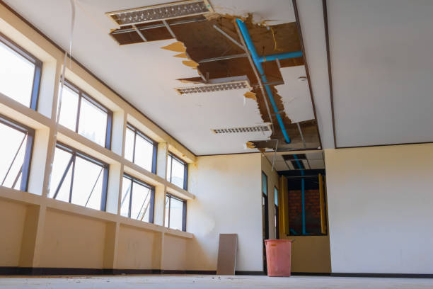 Best Basement water damage restoration  in Bayport, MN