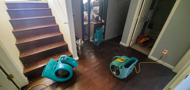 Best Ceiling water damage repair  in Bayport, MN