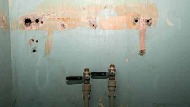 Best Water damage restoration near me  in Bayport, MN