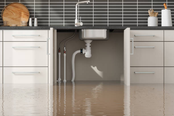 Best Mold removal after water damage  in Bayport, MN