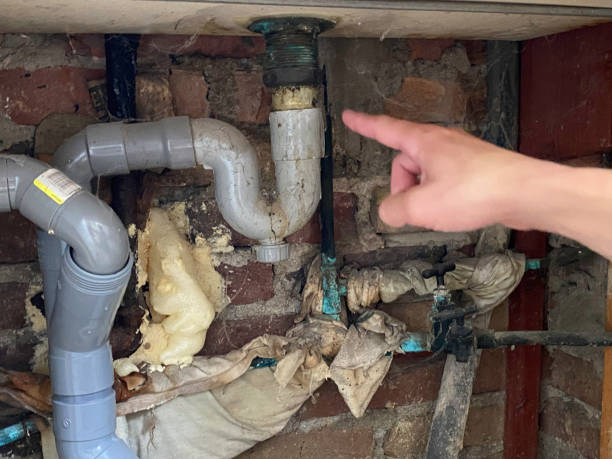 Best Flooded house restoration  in Bayport, MN